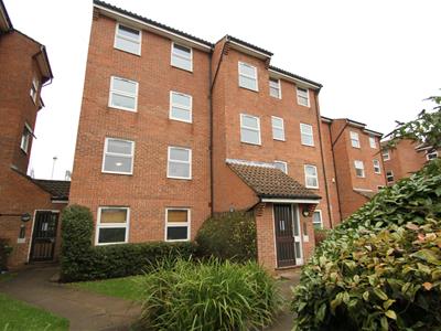 Picture 13